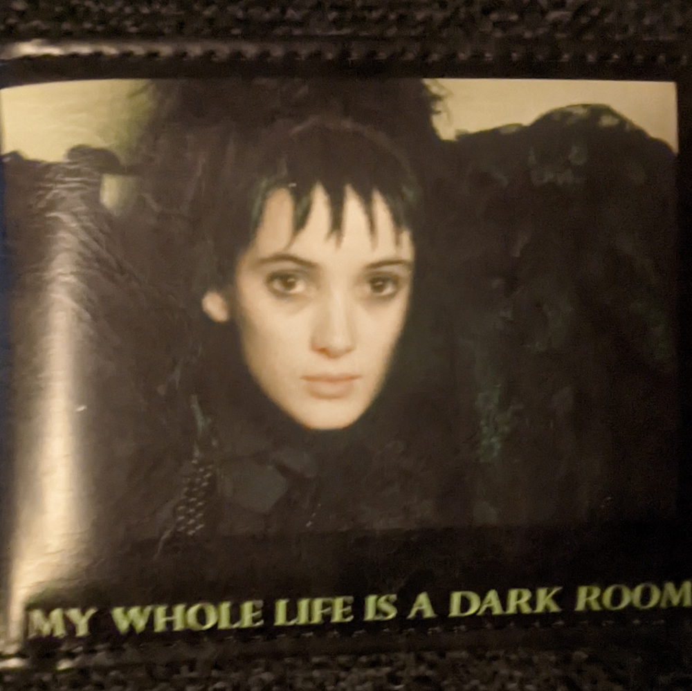Brand New beetle juice wallet